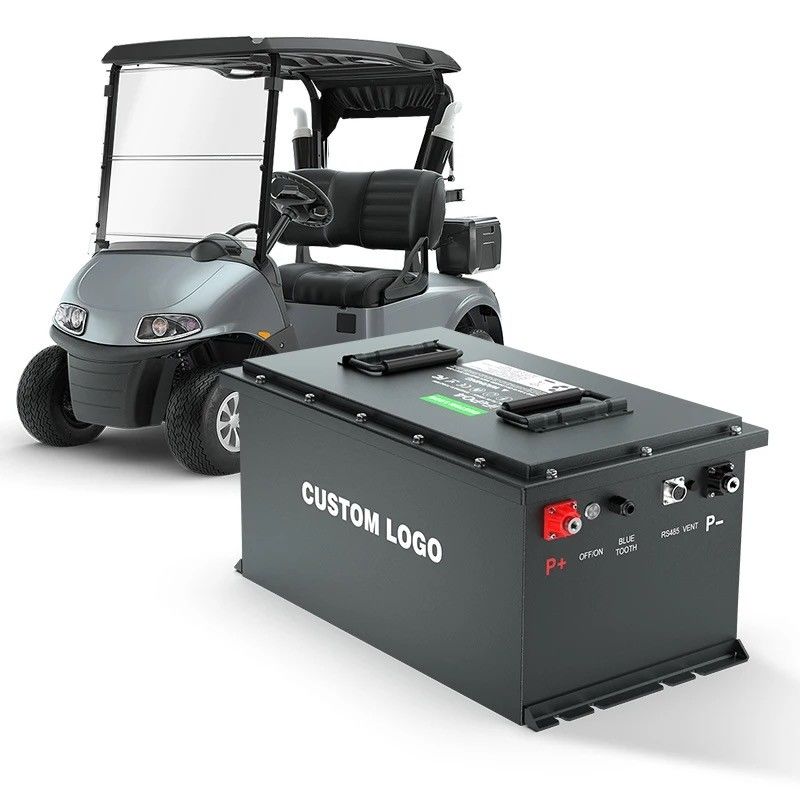 OEM/ODM Lifepo4 Bateria Carrinho de golfe Bateria 24V 36V 48V 72V 50Ah 100Ah 200Ah com Smart BMS