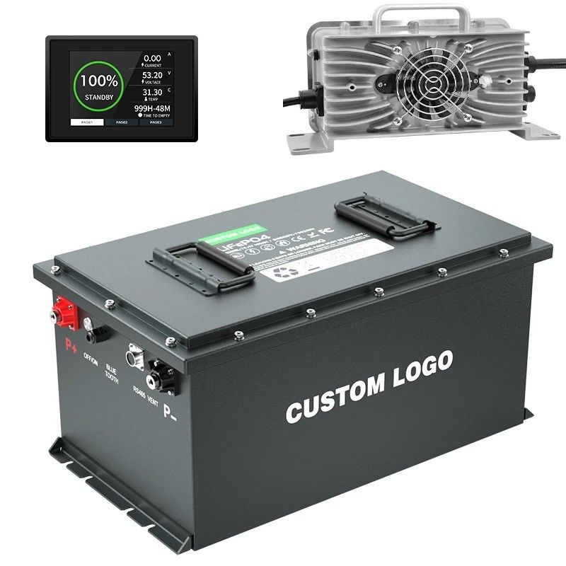 OEM/ODM Lifepo4 Bateria Carrinho de golfe Bateria 24V 36V 48V 72V 50Ah 100Ah 200Ah com Smart BMS